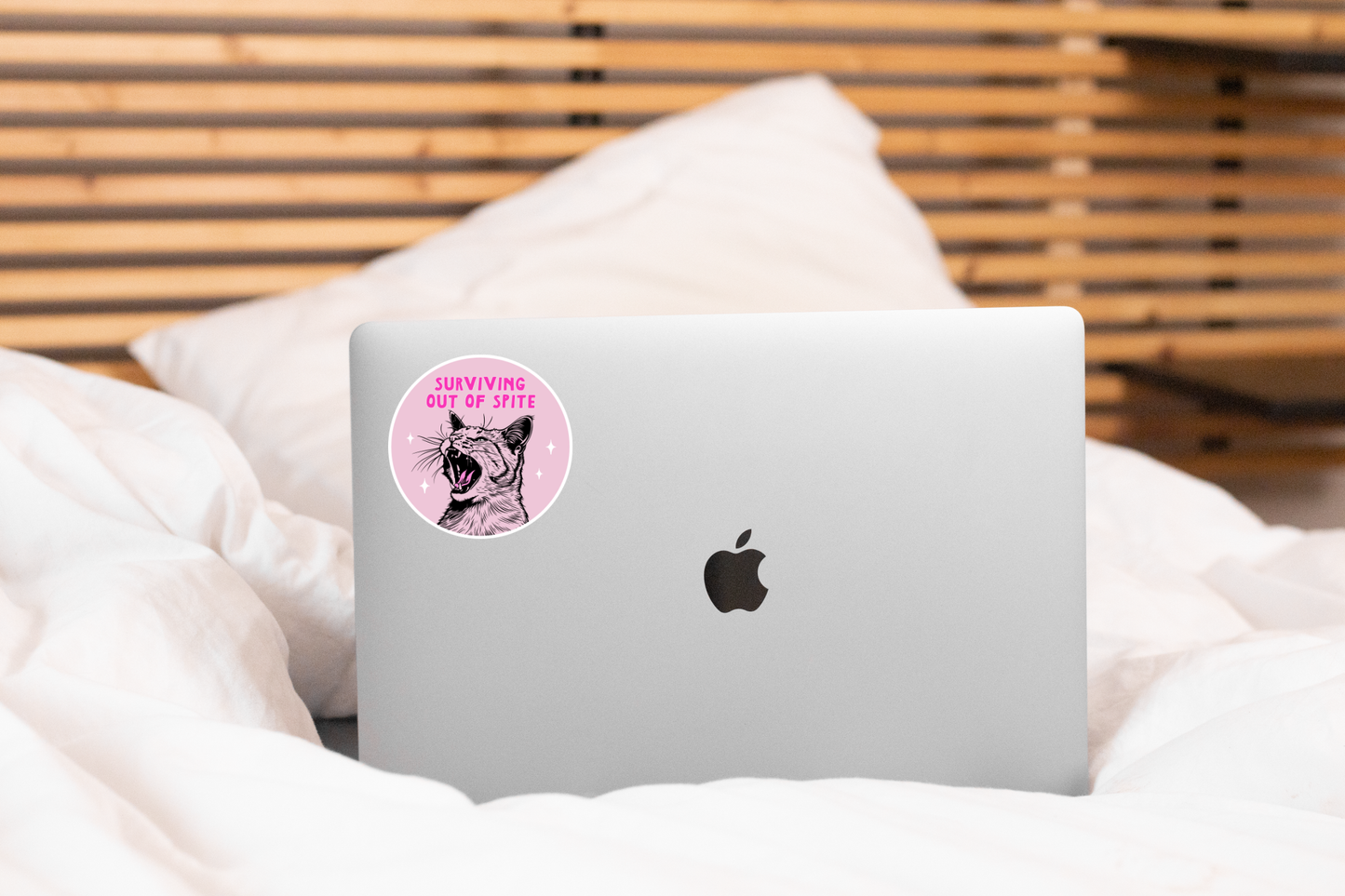 Surviving Out of Spite Sticker - cat, kitten, pet, funny